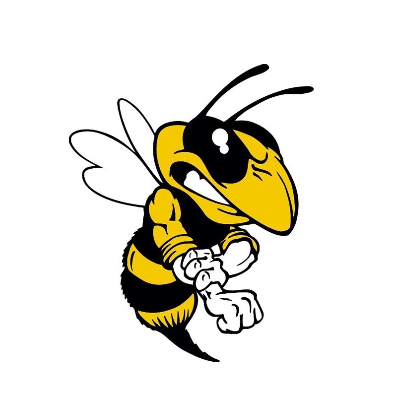 Autocollant abeille pour voiture ou moto abeille en colère 13cm x 10.7cm