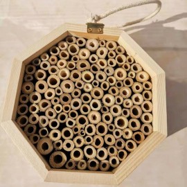 Ruche en bois massif pour abeilles vue dessus