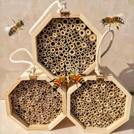 trio de Ruches en bois massif pour abeilles